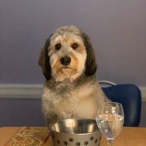 Meet your Posher, Christine